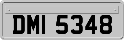 DMI5348