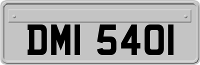 DMI5401