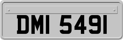 DMI5491