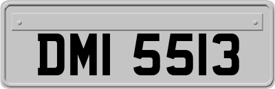 DMI5513