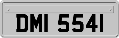 DMI5541
