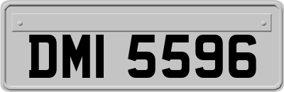 DMI5596