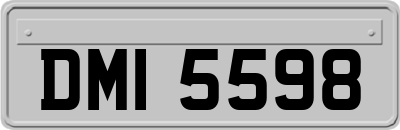 DMI5598