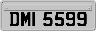 DMI5599