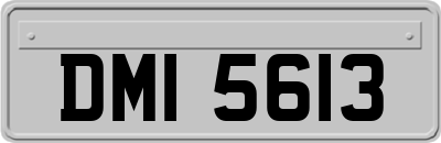 DMI5613