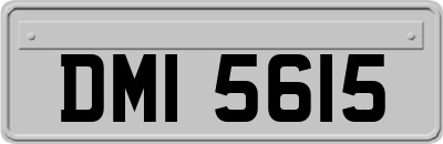 DMI5615