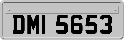 DMI5653