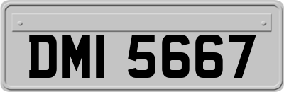 DMI5667