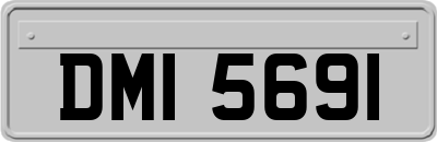 DMI5691