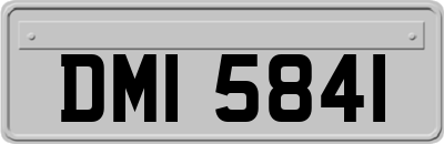 DMI5841