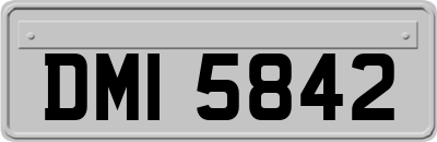 DMI5842