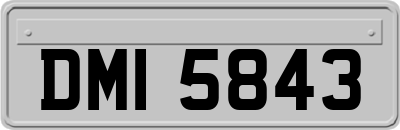 DMI5843