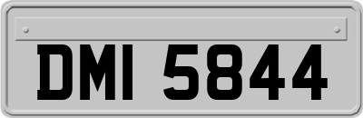 DMI5844