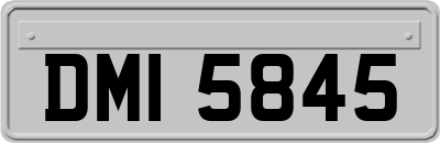 DMI5845
