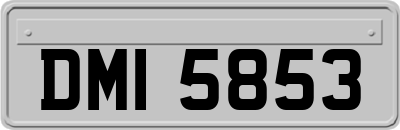DMI5853