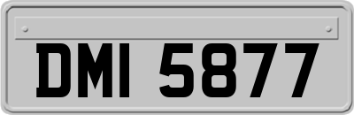 DMI5877
