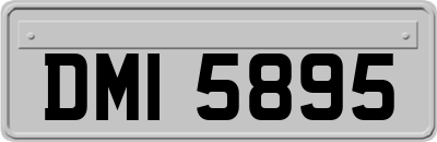 DMI5895