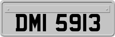 DMI5913