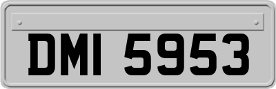DMI5953