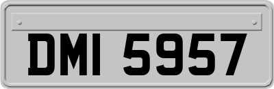 DMI5957