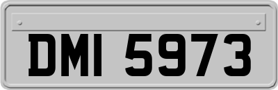 DMI5973