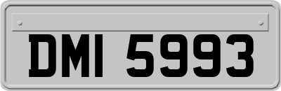 DMI5993