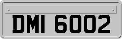 DMI6002