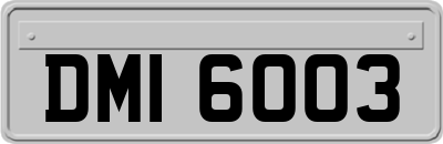 DMI6003