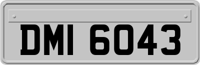 DMI6043