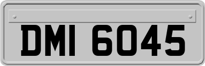 DMI6045