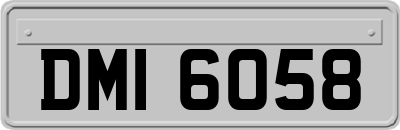 DMI6058