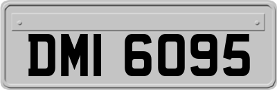DMI6095