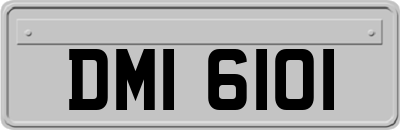 DMI6101