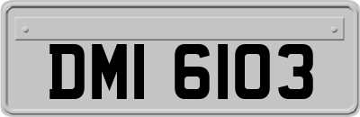 DMI6103