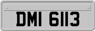 DMI6113