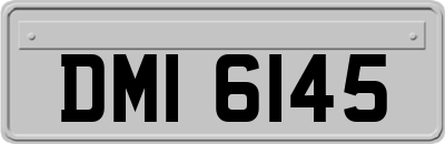 DMI6145