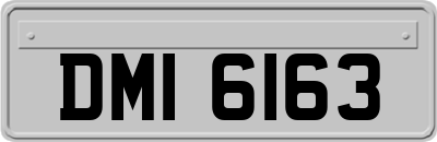 DMI6163