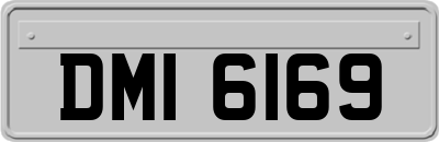 DMI6169