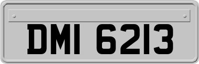 DMI6213