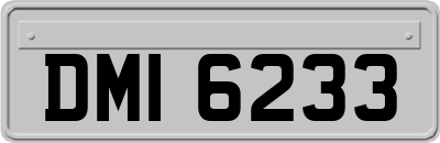 DMI6233