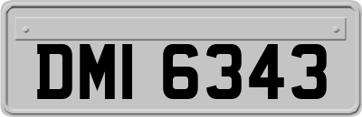 DMI6343