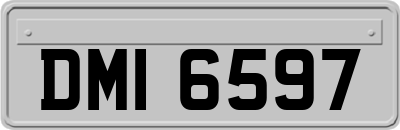 DMI6597