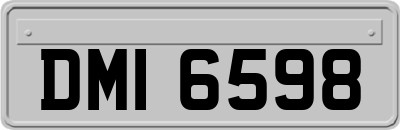 DMI6598