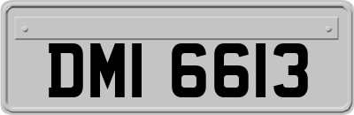DMI6613