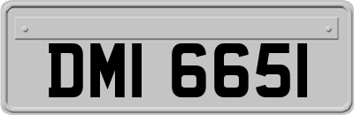 DMI6651