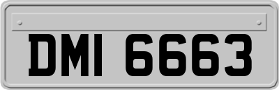 DMI6663