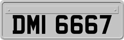DMI6667