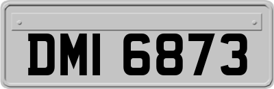 DMI6873