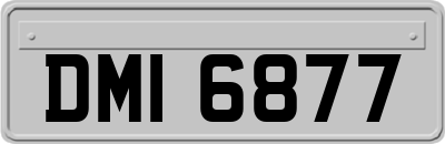 DMI6877