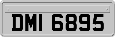 DMI6895